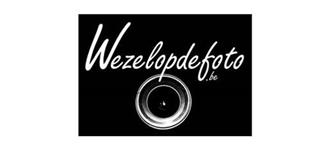 Wezel op de foto